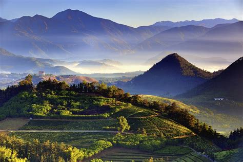 貓貓山|猫囒山步道